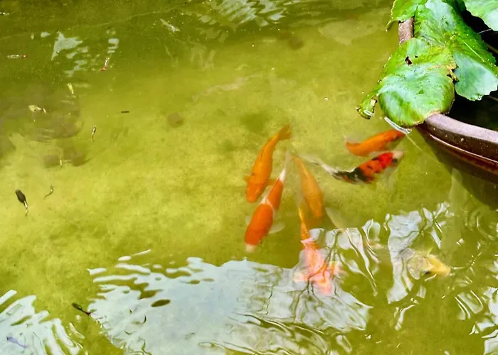 Baan Debtida * Bangkok