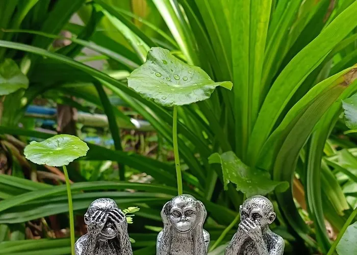 Baan Debtida